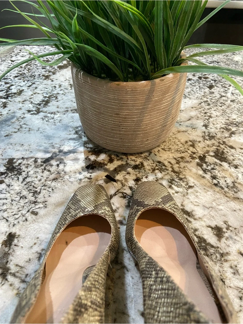 27 EDIT snake print heels